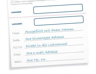 ###AUSVERKAUFT### Gewinnlos Freundeskreis Wurfscheibe e.V. Vorausgefülltes Los