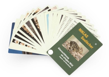 NIKLAS age determination game animals (only available in German language) wild boars (only in german language)