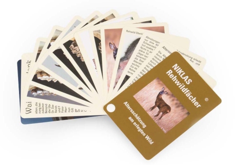 NIKLAS age determination game animals (only available in German language) roe deer (only in german language)