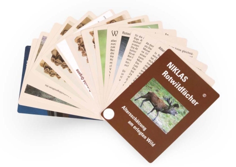 NIKLAS age determination game animals (only available in German language) red deer (only in german language)